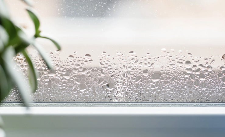 Close-up of condensation and water droplets forming on a window pane, indicating high indoor humidity.