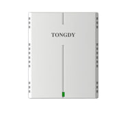 White carbon monoxide monitor by Tongdy with vertical recessed stripe and green indicator light.