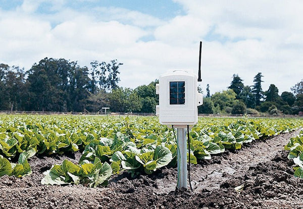 Wireless Leaf & Soil Moisture/Temperature Station - SKU 6345