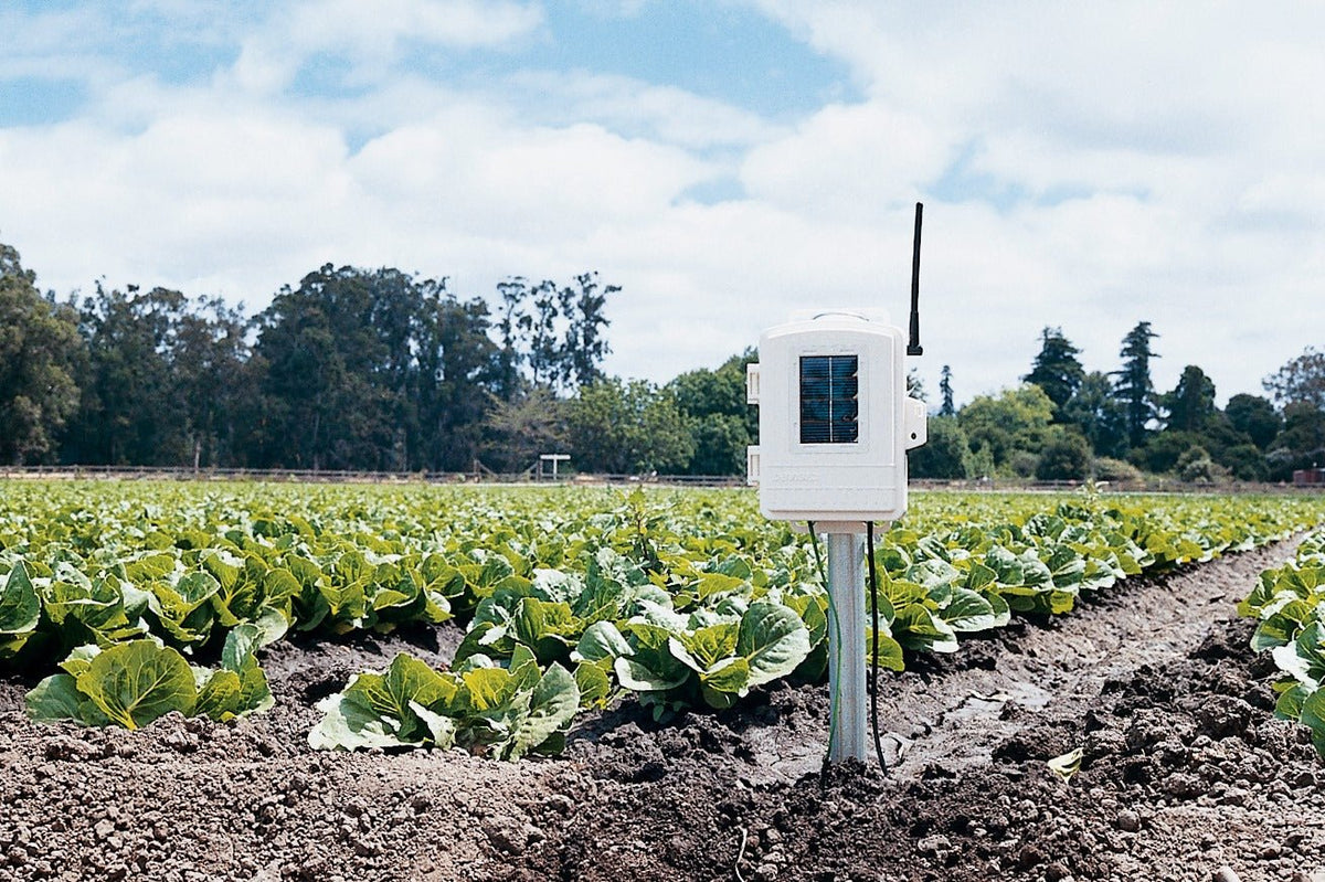 Wireless leaf and soil moisture station by Davis Instruments, standing in a field of green plants.