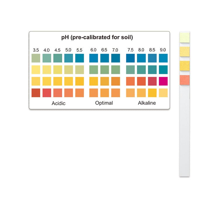 Ph Tester Colors